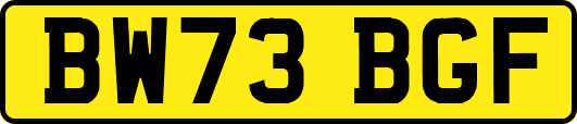 BW73BGF