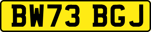 BW73BGJ
