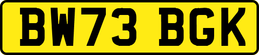 BW73BGK