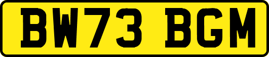 BW73BGM