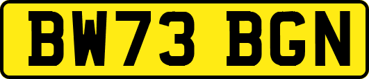 BW73BGN