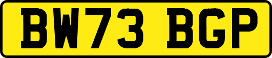 BW73BGP