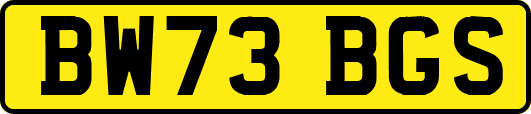 BW73BGS