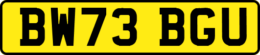BW73BGU