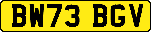 BW73BGV