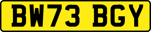 BW73BGY