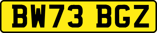 BW73BGZ