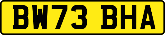 BW73BHA