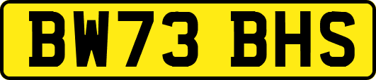 BW73BHS