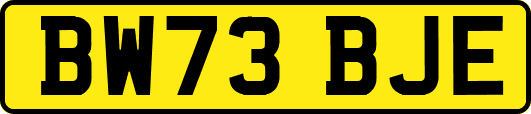 BW73BJE
