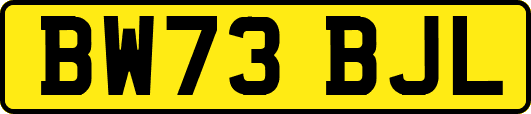 BW73BJL