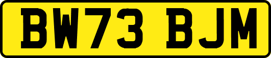 BW73BJM