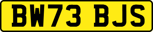 BW73BJS