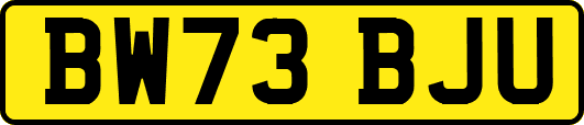 BW73BJU