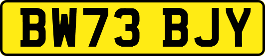 BW73BJY
