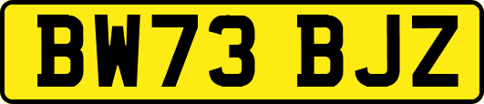 BW73BJZ