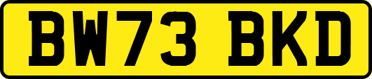 BW73BKD