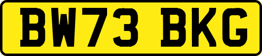 BW73BKG