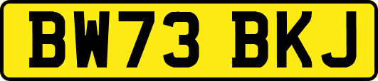 BW73BKJ