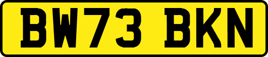 BW73BKN