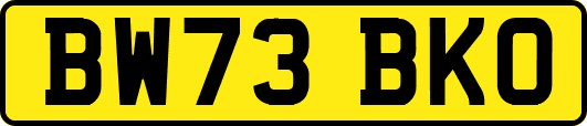 BW73BKO