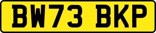BW73BKP