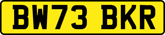 BW73BKR