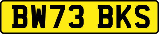 BW73BKS