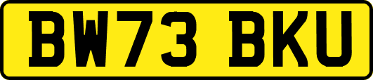 BW73BKU