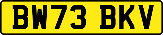 BW73BKV