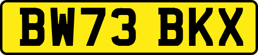 BW73BKX