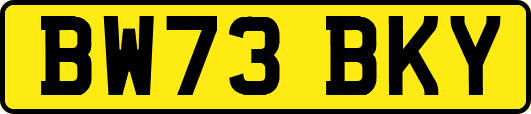 BW73BKY