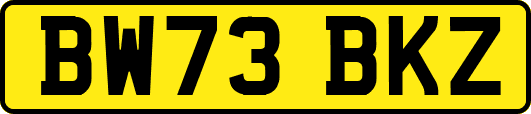 BW73BKZ