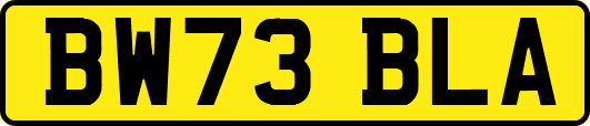 BW73BLA