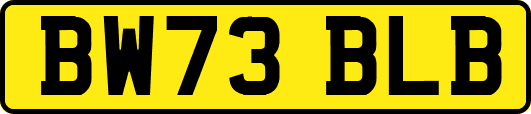 BW73BLB