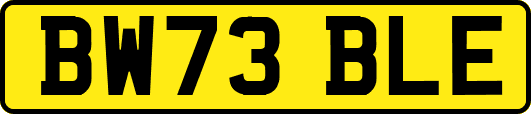 BW73BLE