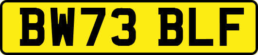 BW73BLF