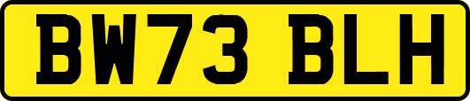 BW73BLH