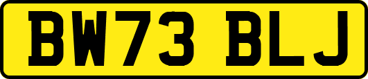 BW73BLJ