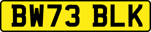BW73BLK