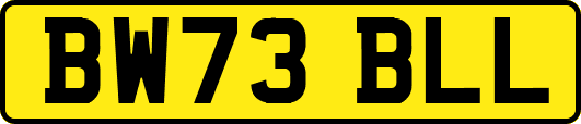 BW73BLL