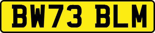 BW73BLM