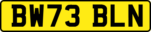 BW73BLN