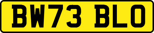 BW73BLO