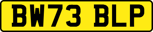 BW73BLP