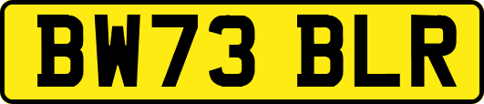 BW73BLR
