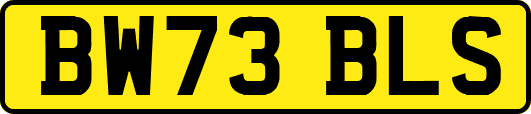 BW73BLS