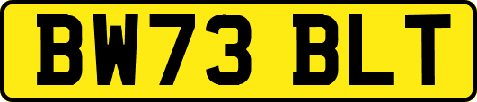 BW73BLT