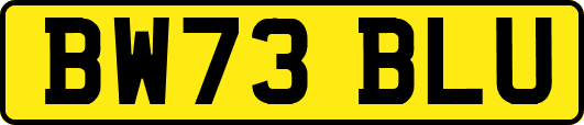 BW73BLU