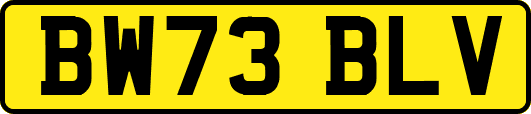 BW73BLV